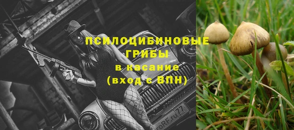 ALPHA-PVP Верхний Тагил