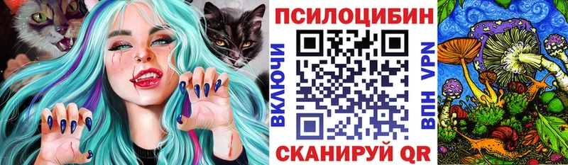 где купить   OMG как войти  Псилоцибиновые грибы мухоморы  Полтавская 